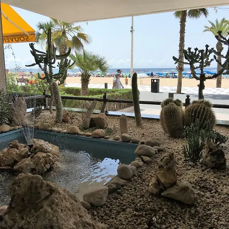 Primera Línea Playa Levante Benidorm